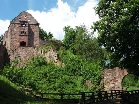 Feriendorf Waldbrunn - Baden-Württemberg - Image N°20