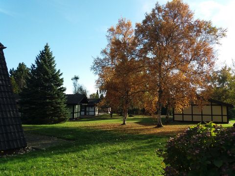 Feriendorf Waldbrunn - Baden-Württemberg - Image N°7