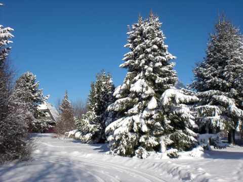 Feriendorf Waldbrunn - Baden-Württemberg - Image N°34