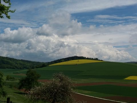 Feriendorf Waldbrunn - Baden-Württemberg - Image N°32