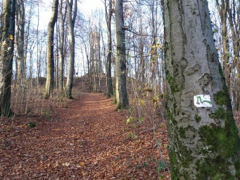 Feriendorf Waldbrunn - Baden-Württemberg - Image N°29