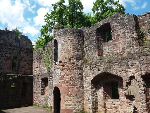 Feriendorf Waldbrunn - Baden-Württemberg - Image N°21