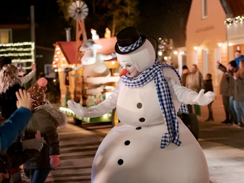 Familie Resort Molenwaard - Molenlanden - Image N°5