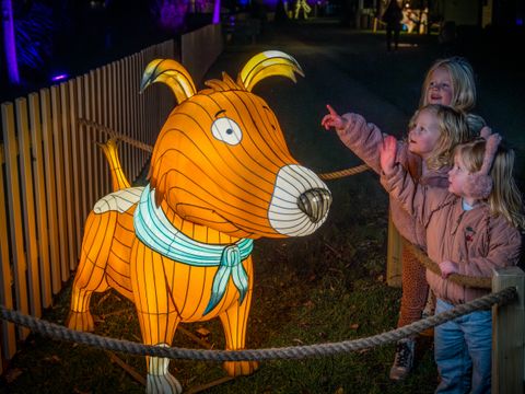 Familie Resort Molenwaard - Molenlanden