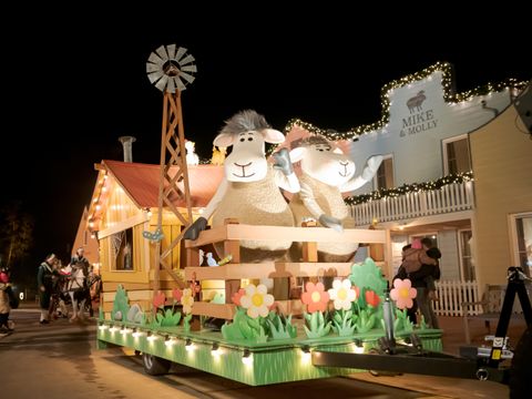 Familie Resort Molenwaard - Molenlanden