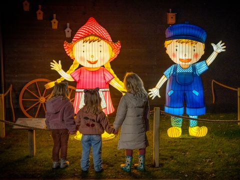 Familie Resort Molenwaard - Molenlanden - Image N°4