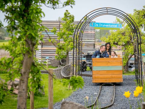 Familie Resort Molenwaard - Molenlanden - Image N°18