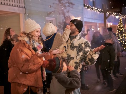 Familie Resort Molenwaard - Molenlanden - Image N°2