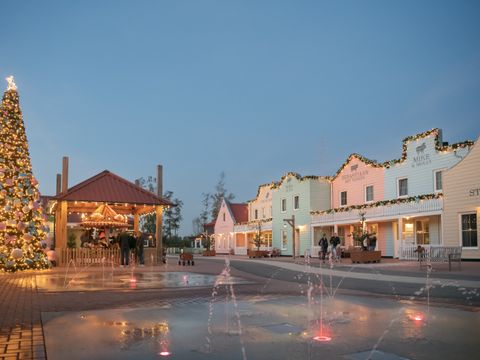 Familie Resort Molenwaard - Molenlanden - Image N°49