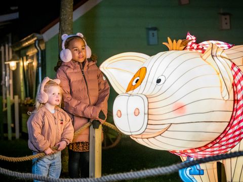 Familie Resort Molenwaard - Molenlanden - Image N°3