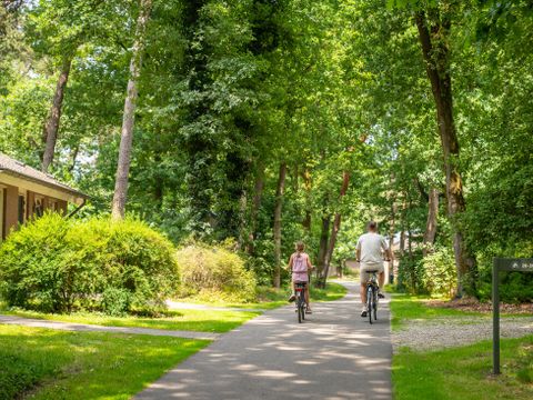 Landal  Park De Peel - Deurne - Image N°29
