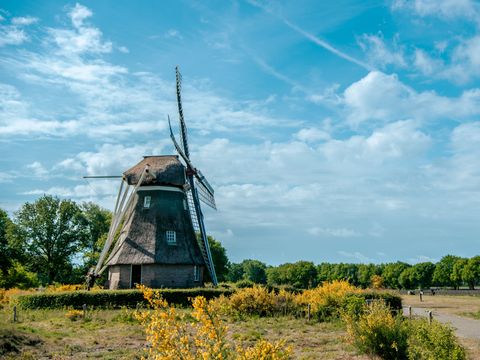 EuroParcs Ruinen - De Wolden - Image N°33