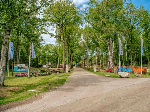 EuroParcs Ruinen - De Wolden - Image N°7