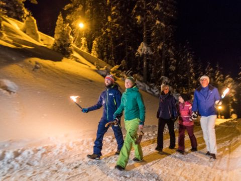 Landal Katschberg - Carinthia