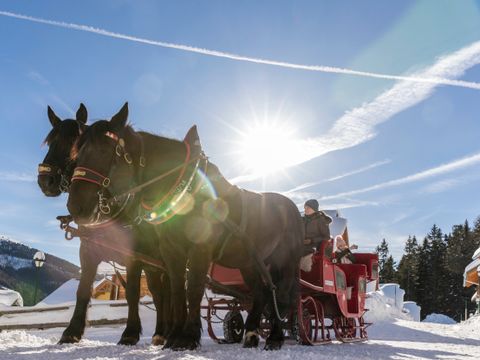 Landal Katschberg - Carinthia