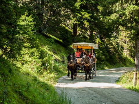 Landal Katschberg - Carinthia