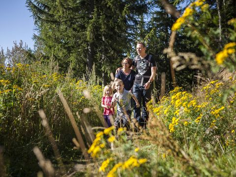 Landal Katschberg - Carinthia