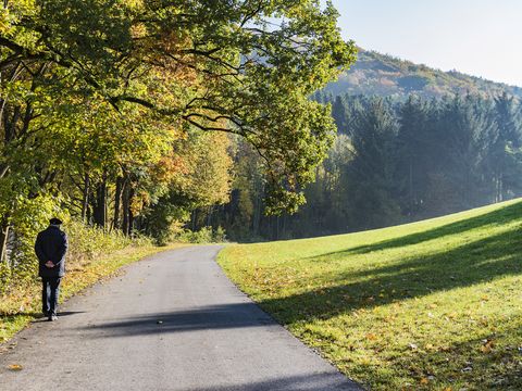 UplandParcs Sauerland - Camping North Rhine-Westphalia - Image N°5