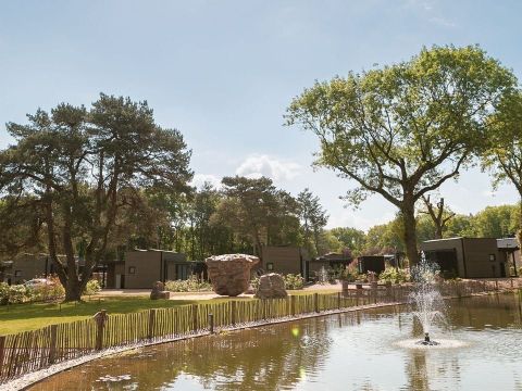 Soof Heuvelrug - Camping Rhenen - Image N°4