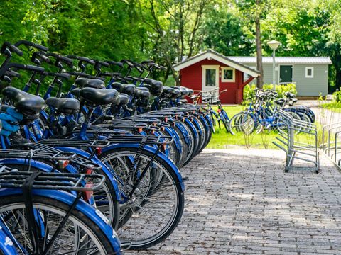 EuroParcs Het Amsterdamse Bos - Amsterdam - Image N°7