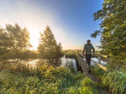 Landgoed 't Wildryck - Westerveld - Image N°13