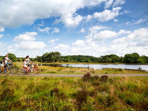 Landgoed 't Wildryck - Westerveld - Image N°15