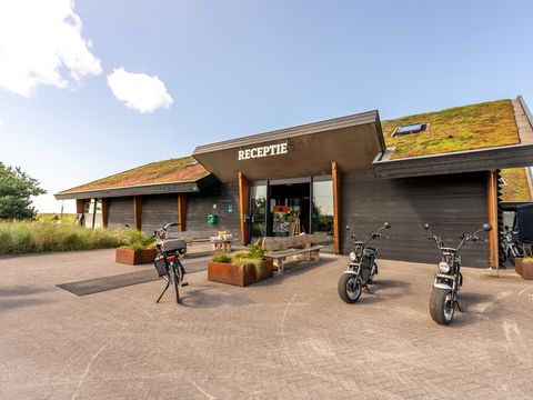 Landal Ameland - Ameland - Image N°4