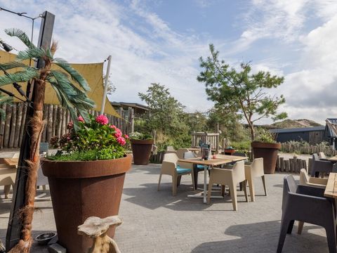 Landal Bloemendaal aan Zee - Bloemendaal - Image N°18