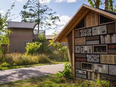 Landal Glamping Lauwersmeer - Het Hogeland - Image N°12