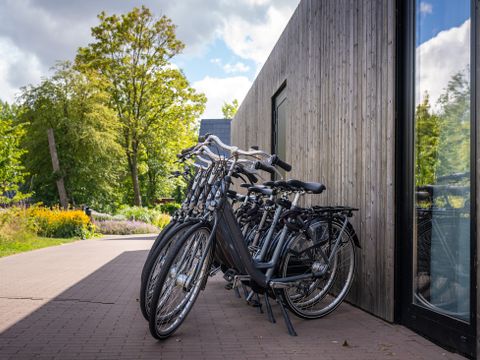 Landal Glamping Lauwersmeer - Het Hogeland - Image N°8