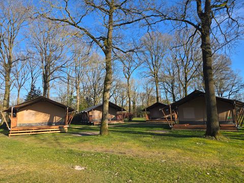 Park Drentheland - Westerveld - Image N°15