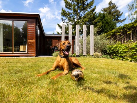 Bungalowpark Het Verscholen Dorp - Harderwijk - Image N°2