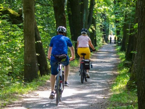 Urban Gardens Gent - East Flanders - Image N°2