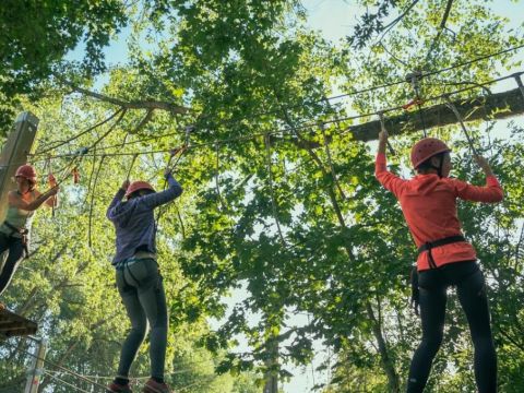 Urban Gardens Gent - East Flanders - Image N°3