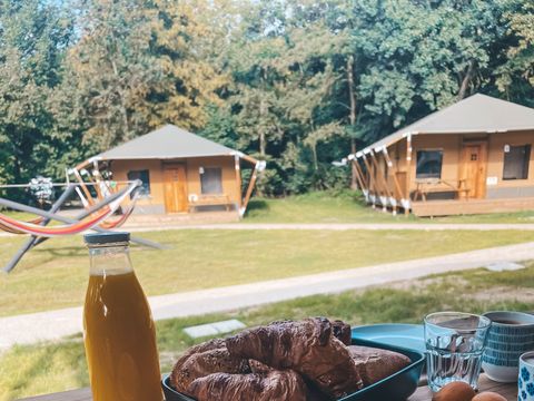 Urban Gardens Gent - East Flanders - Image N°4