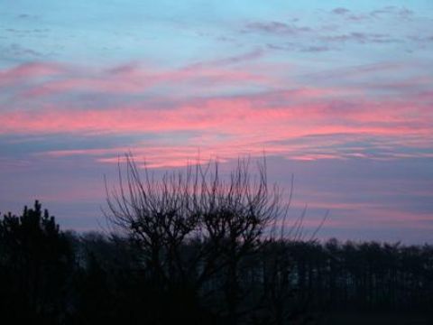 Ferienhof Brockzetel - Lower Saxony - Image N°21