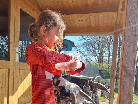 Ferienhof Brockzetel - Lower Saxony - Image N°4