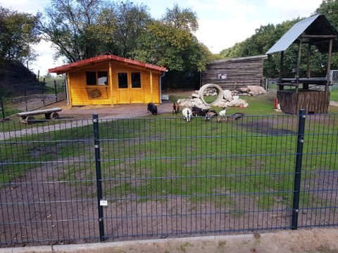 Ferienhof Brockzetel - Lower Saxony - Image N°18