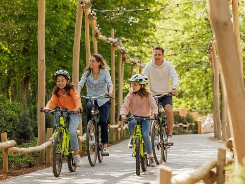 Center Parcs Park Eifel - Camping Rhineland-Palatinate - Image N°4