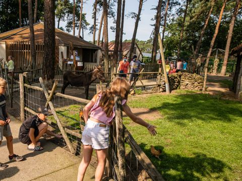 Vodatent Familiepark Goolderheide - Belgian Limburg - Image N°12