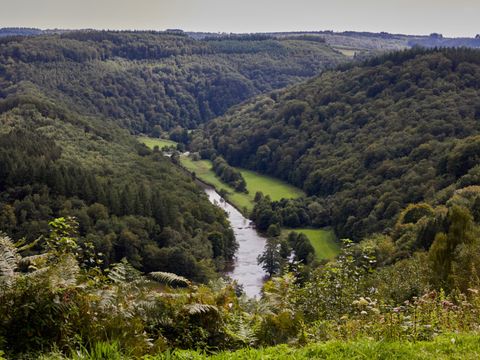 Landal Hillview Resort Grandvoir - Belgian Luxembourg - Image N°37