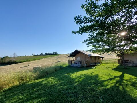 Vodatent Camping Tenuta Tredici Ulivi - Ancona - Image N°4