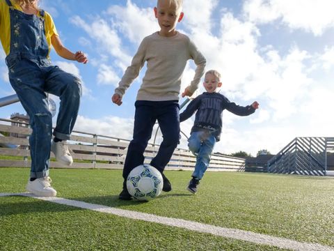 Landal Sallandse Heuvelrug - Wierden