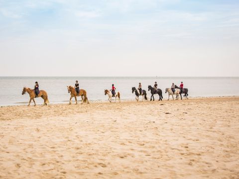 Landal Kaap West - Terschelling - Image N°2