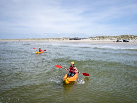 %strongStart%Aquatic%strongEnd% area