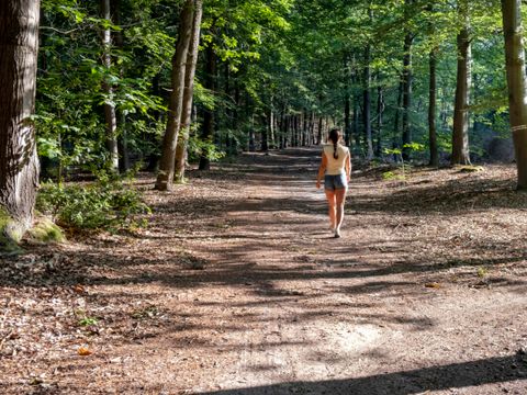 Vodatent Camping de Zeven Heuveltjes - Borger-Odoorn - Image N°19