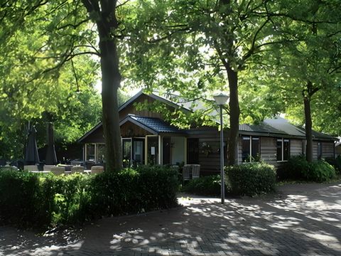 Vodatent Camping de Zwammenberg  - Loon op Zand - Image N°4