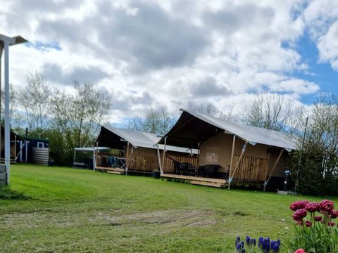Vodatent Camping de Tulpenweide - Hollands Kroon - Image N°15