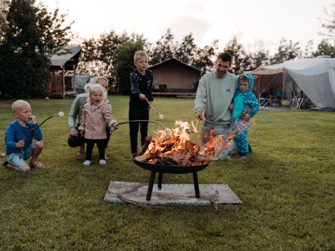 Vodatent Camping de Tulpenweide - Hollands Kroon - Image N°7