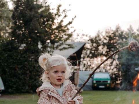 Vodatent Camping de Tulpenweide - Hollands Kroon - Image N°8